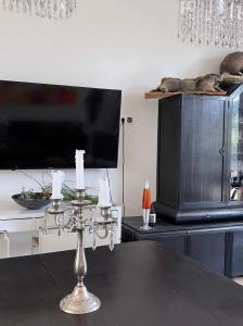 a living room with a table with a television and a cat laying on top at Landidyll am Bauerhof in Sankt Valentin