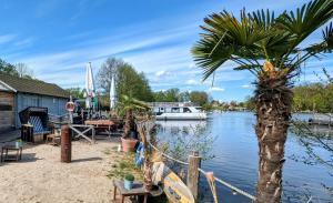 a palm tree sitting next to a body of water at Hafensuite In Templin Uckermark in Templin