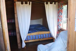 a bed in a cabin with curtains in a room at Du puits de Riquier écologique in Régusse