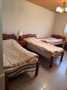 a room with two beds and a table with a lamp at Guesthouse Lasili in Mestia in Mestia