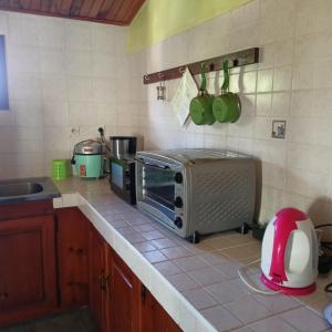 a kitchen counter with a toaster and a microwave at Petite Fleur de Lentilles 2 in Cilaos