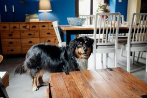 a dog standing next to a table in a dining room at Leśniczówka Dobrocin in Małdyty