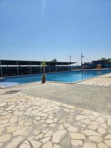 an empty swimming pool with a potted plant in the middle at NectaraVilla PooL in Ashtarak