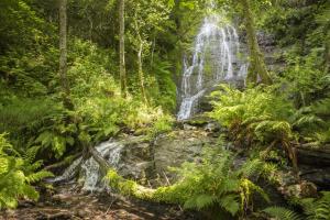 a waterfall in the middle of a forest at Casa de Aira Padron 