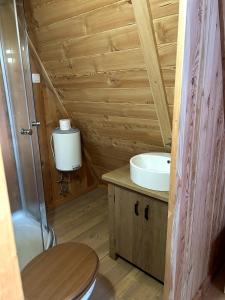 a small bathroom with a toilet and a sink at Glamping cabins in Gorenja Vas