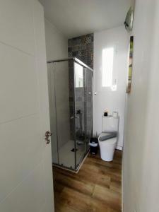 a bathroom with a glass shower and a toilet at Apartamento Villa Alpispa in Agüimes +36 photos