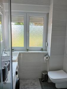 a bathroom with a toilet and a sink and two windows at Vitez apartman in Vitez +29 photos