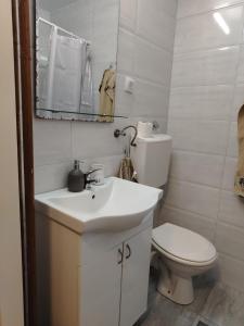 a bathroom with a toilet and a sink and a mirror at Apartman Petrov in Pančevo