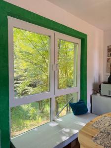 a window in a kitchen with green walls at ALBAK Green Zone in Gradačac