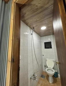 a bathroom with a toilet and a shower at Mon Refuge 111-110 in Bcharré