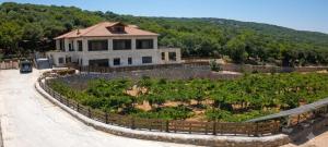 a house on a hill with a road in front at Bait Ajloun in Khirbat Shīn