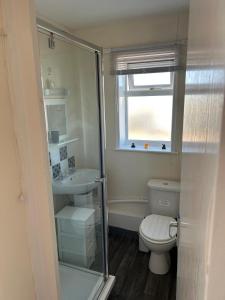 a bathroom with a toilet and a sink and a window at Chestnut 3 in Mablethorpe