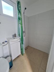 a bathroom with a shower and a sink and a toilet at Ferma DAC in Galaţi