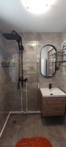 a bathroom with a shower and a sink and a mirror at A-Căsuța de la munte in Arieşeni