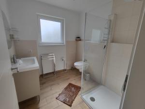 a bathroom with a shower and a toilet and a sink at Appartement Weideblick in Steinsieken +12 photos