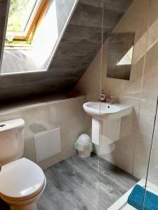 a bathroom with a toilet and a sink at Lochside Lodge in Dallavich