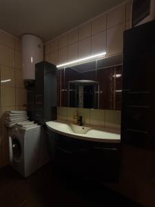 a bathroom with a sink and a washing machine at 2 Schlafzimmer Apartment Bergland  +7 photos