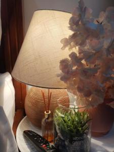 a table with a lamp and a plant and a remote control at Carribean Boutique Hostel in San José