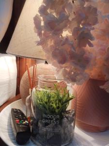 a table with a plant in a jar next to a remote control at Carribean Boutique Hostel in San José