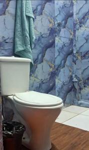 a white toilet in a bathroom with a blue wall at Bem no Centro in Juazeiro do Norte