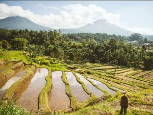a man standing in a field with mountains in the background at Prima Eco Cabin in Pabean Buleleng