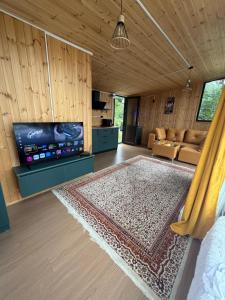 a living room with a couch and a tv at Merisi - Sunset Chalet in Merisi