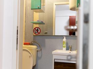 a bathroom with a sink and a toilet and a mirror at Vila Melina Sarajevo in Bjelugovići +30 photos
