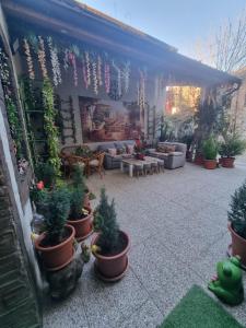 a patio with a bunch of potted plants at b&b MADDIALE 