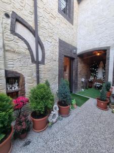 a group of potted plants in front of a building at b&b MADDIALE 
