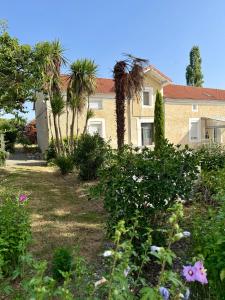 a house with palm trees and a yard with flowers at La Prairie 65 in Lafitole