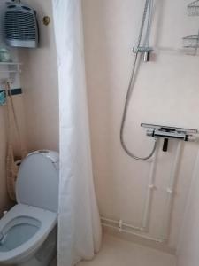 a small bathroom with a toilet and a shower at Bispgården Paradis in Bispgården