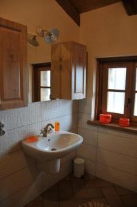 a bathroom with a sink and a mirror at Agriturismo l'Arbo in Andorno Micca