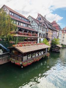 a boat on a river with buildings and flowers at Studio Centre Strasbourg in Strasbourg