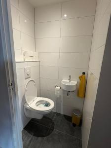 a small bathroom with a toilet and a sink at Appartement Moustache in Goes +6 photos