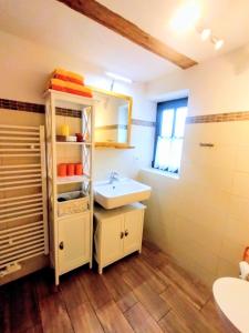 a bathroom with a sink and a mirror at Ferienwohnung Zeittor in Tharandt
