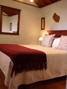 Schlafzimmer mit einem Bett und einem Spiegel in der Unterkunft Casa Rural Las Piedras in Buenavista del Norte