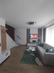 a living room with a couch and a television at The Cozy Backyard Home- satu Mare in Satu Mare