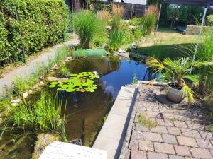 a pond with lilies in a garden at Ferienwohnung Mainz-Weisenau in Mainz