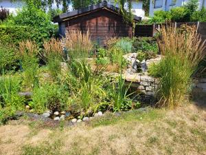 a garden with tall grass and rocks in front of a house at Ferienwohnung Mainz-Weisenau in Mainz