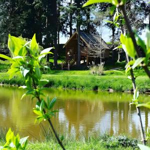 a cabin by a pond with trees and grass at Cabane Le Carré D'étoiles in Voussac