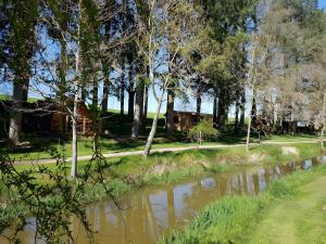 a body of water with trees and a house at Cabane Le Carré D'étoiles in Voussac