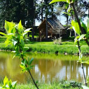 a cabin by a pond with trees and grass at La Cabane Forestière in Voussac