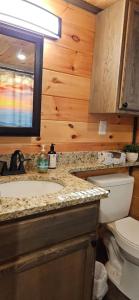 a bathroom with a sink and a toilet and a mirror at Amazing Mountain View Tiny House in Hayesville +21 photos