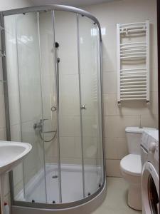 a shower in a bathroom with a toilet and a sink at Anas apartments in Zugdidi