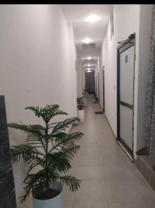 a corridor with potted plants in a hallway at Hotel Hidden Gem in Pānīpat