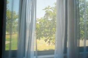 a window with white curtains and a view of a tree at Gazulli Guesthouse in Lezhë