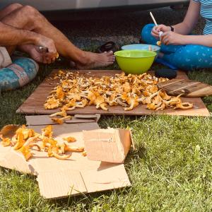 a pile of food on a cutting board on the grass at Wiesn-Relax-Camping in Ranten