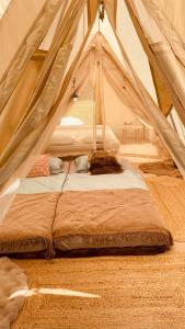 a bed in a tent in a room at Wiesn-Relax-Camping in Ranten