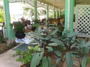 Restoran atau tempat lain untuk makan di Palm Beach Hotel