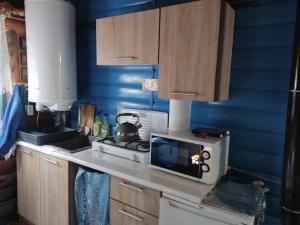 a kitchen with a stove and a microwave at Zakątek u Basi in Twierdza